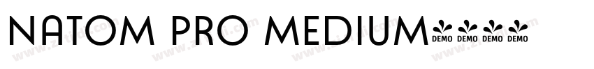 Natom Pro Medium字体转换